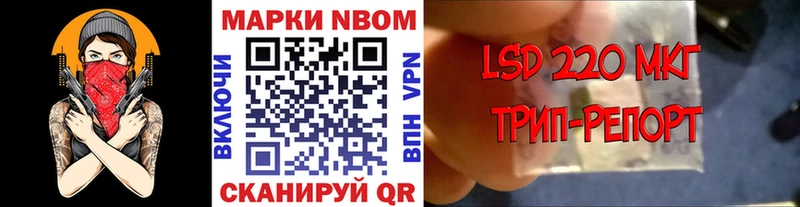 где можно купить наркотик  Губкинский  Марки 25I-NBOMe 1,8мг 