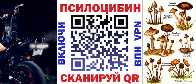 Галлюциногенные грибы Cubensis  Губкинский 